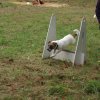 foire-haricots 2011-09-17et18